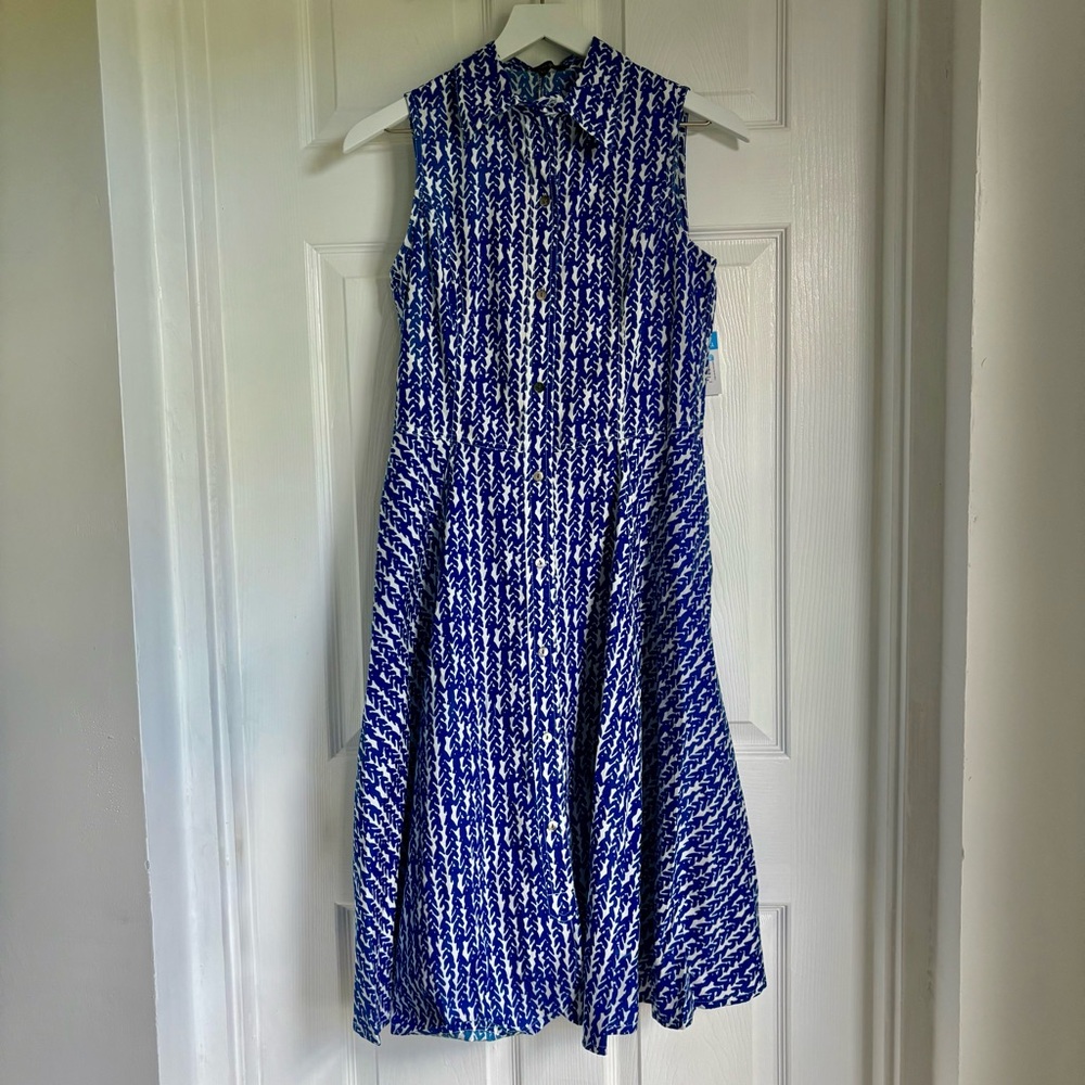 Lauren Gold Blue and White Sleeveless Buttondown Maxi Dress